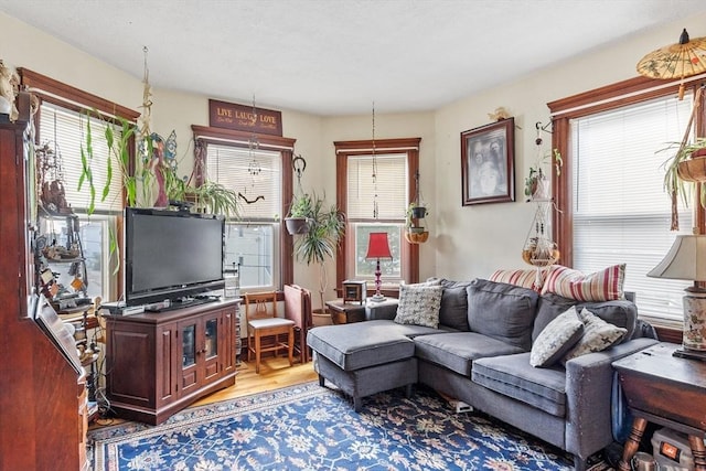 living room featuring healthy amount of natural light and wood finished floors