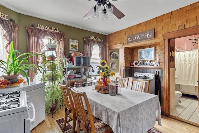 dining room featuring ceiling fan and light wood-style floors