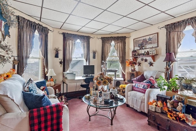 living room with a drop ceiling and carpet floors