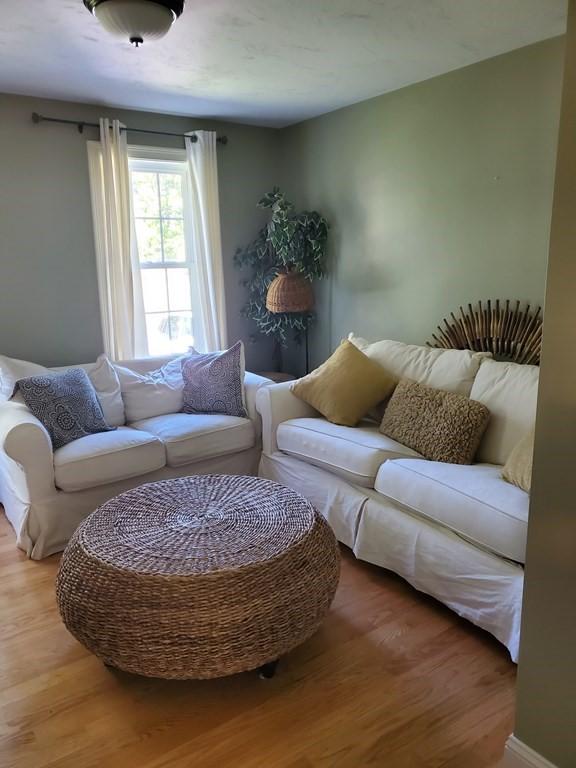 living room with wood-type flooring