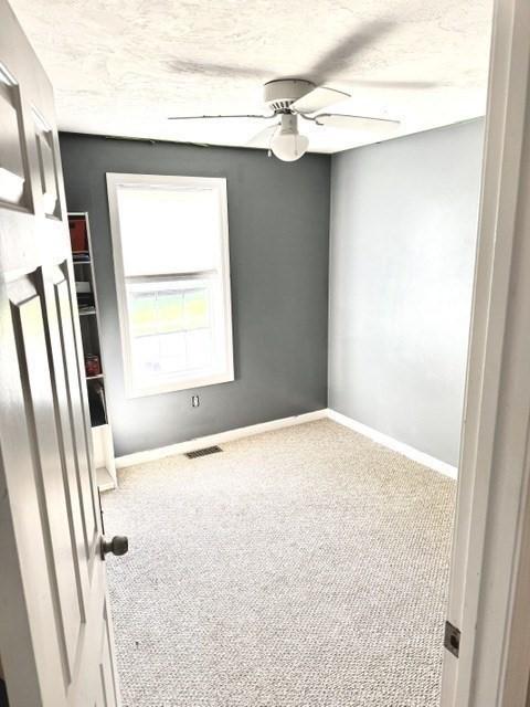 62 Moreland Green Dr, Worcester, MA 01609 - spare room with a ceiling fan, carpet floors, baseboards, and a textured ceiling