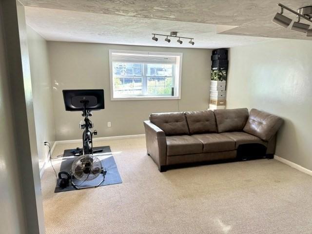 62 Moreland Green Dr, Worcester, MA 01609 - living area featuring baseboards, carpet flooring, and rail lighting
