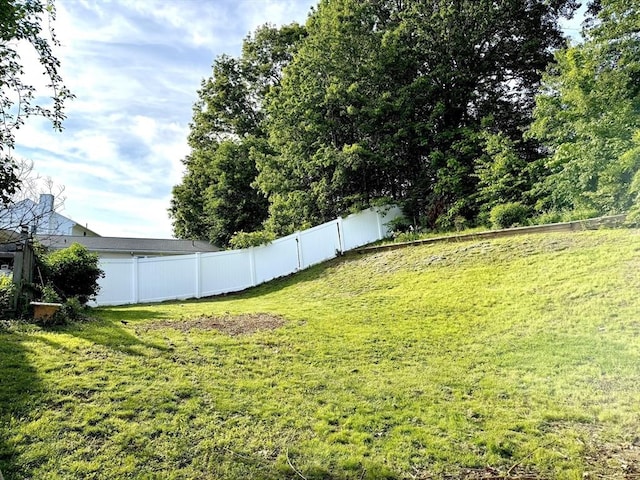 62 Moreland Green Dr, Worcester, MA 01609 - view of yard