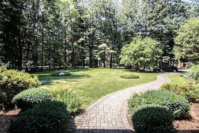 view of community featuring a lawn