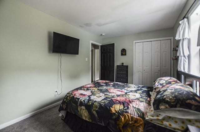 249 Chace Rd, Freetown, MA 02717 - bedroom with carpet floors, a closet, and baseboards