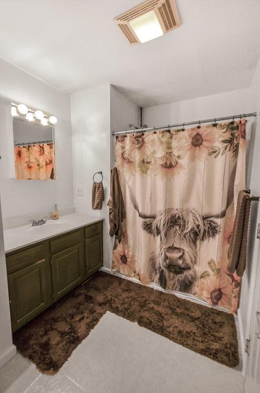 249 Chace Rd, Freetown, MA 02717 - bathroom with vanity and a shower with curtain