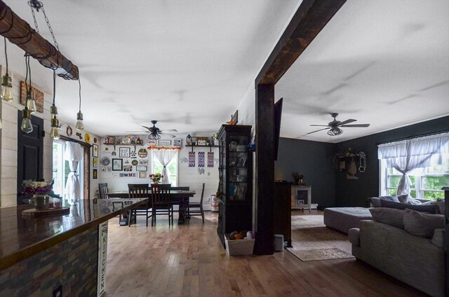 249 Chace Rd, Freetown, MA 02717 - living room with ceiling fan and wood finished floors
