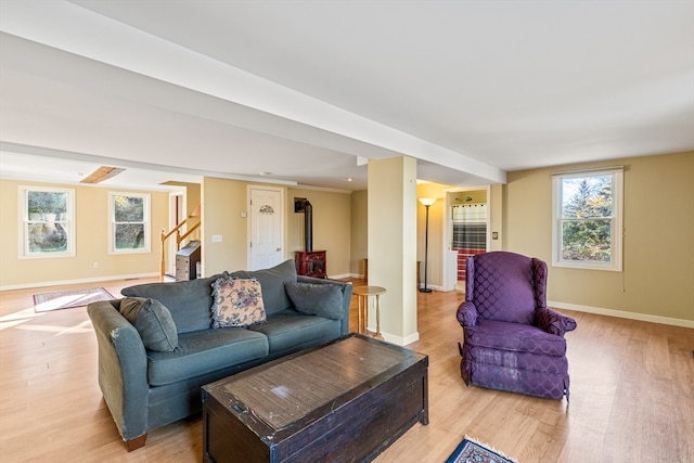 living room featuring a wood stove and light hardwood / wood-style flooring