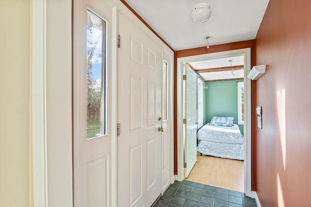 doorway to outside featuring dark wood-type flooring and a healthy amount of sunlight