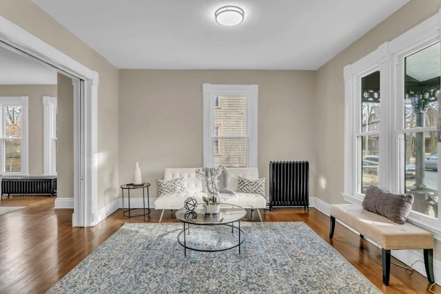 living area featuring hardwood / wood-style flooring and radiator