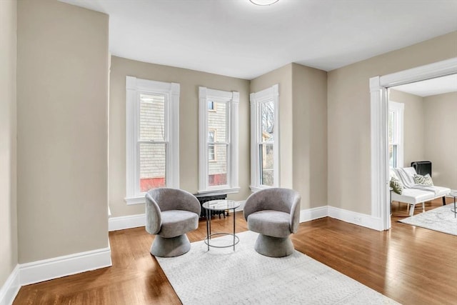 sitting room with hardwood / wood-style floors