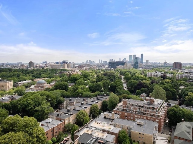 115 Sewall Ave Unit 1, Brookline, MA 02446 - aerial view of skyline and a tree filled landscape