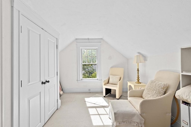26 Saxon Rd, Newton, MA 02461 - living area with carpet flooring, baseboards, and vaulted ceiling