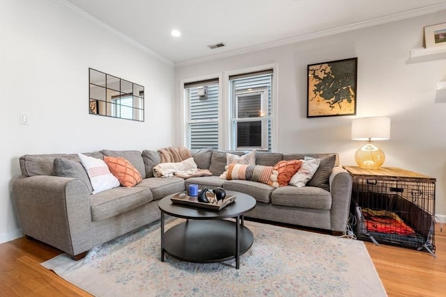 10 Peters Unit 2, Boston, MA 02127 - living area with wood finished floors, ornamental molding, baseboards, and recessed lighting