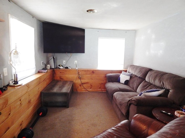 13 Lark St, New Bedford, MA 02745 - living area with carpet flooring