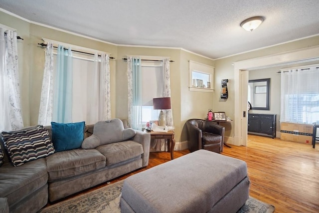 living room with hardwood / wood-style flooring, crown molding, and a textured ceiling