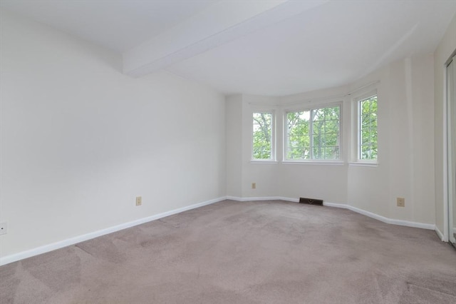 118 Tall Oaks Dr Unit D, Weymouth, MA 02190 - unfurnished room with healthy amount of natural light, carpet flooring, baseboards, and beam ceiling