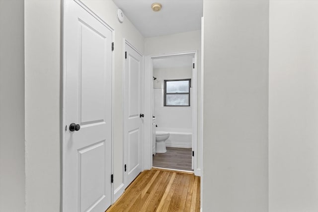 hall featuring light hardwood / wood-style floors