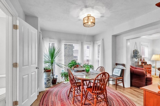 dining area featuring plenty of natural light and light hardwood / wood-style flooring