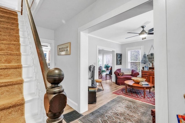 living room featuring ceiling fan and light wood-type flooring