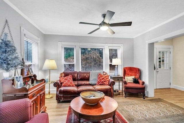 living room featuring ceiling fan, ornamental molding, and light wood-type flooring