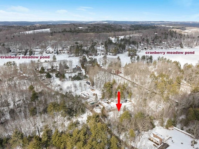 snowy aerial view featuring a view of trees