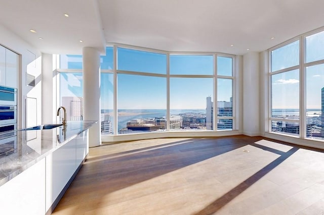 interior space with hardwood / wood-style flooring, a healthy amount of sunlight, and a wall of windows