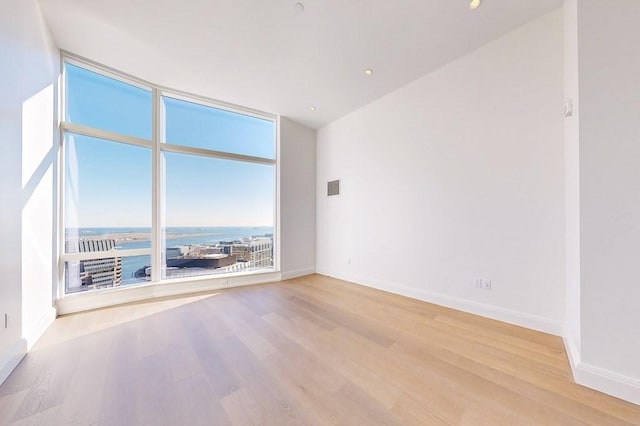 unfurnished room featuring light wood-type flooring