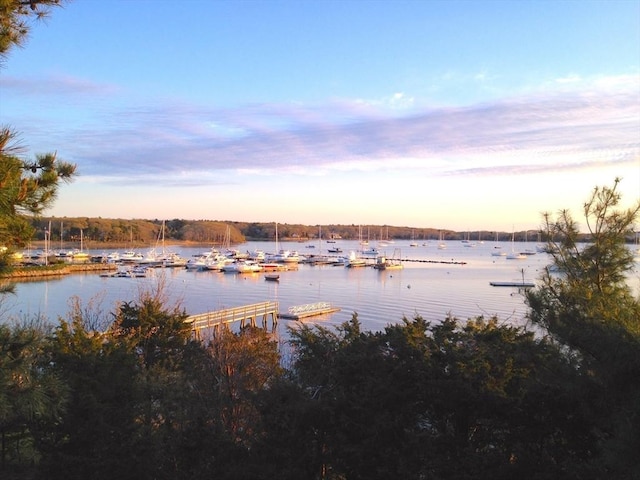 water view featuring a dock