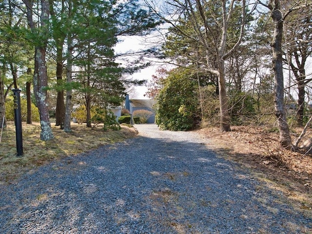 view of dirt / gravel driveway