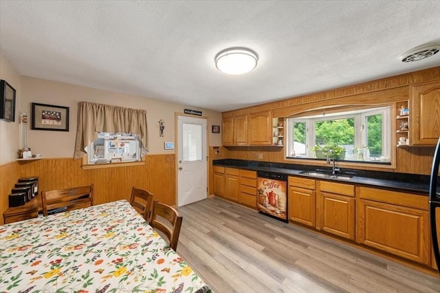 34 Robert Bigelow St, Chelmsford, MA 01824 - kitchen with a sink, dishwashing machine, open shelves, a wainscoted wall, and a textured ceiling