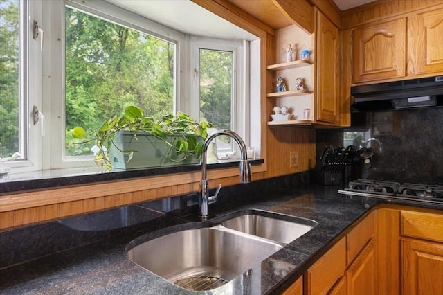 34 Robert Bigelow St, Chelmsford, MA 01824 - kitchen with a sink, under cabinet range hood, dark stone countertops, and brown cabinetry