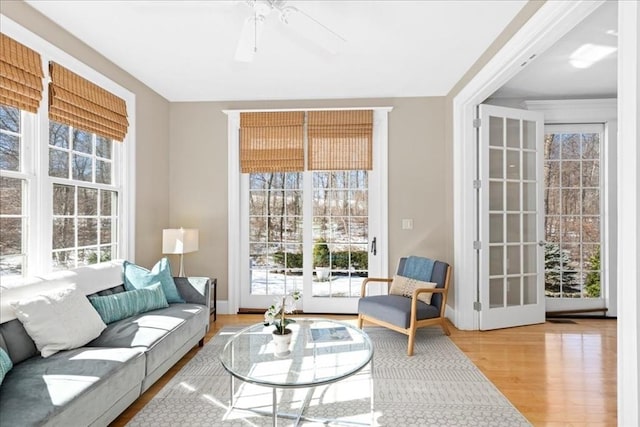 living area featuring a ceiling fan, plenty of natural light, baseboards, and wood finished floors