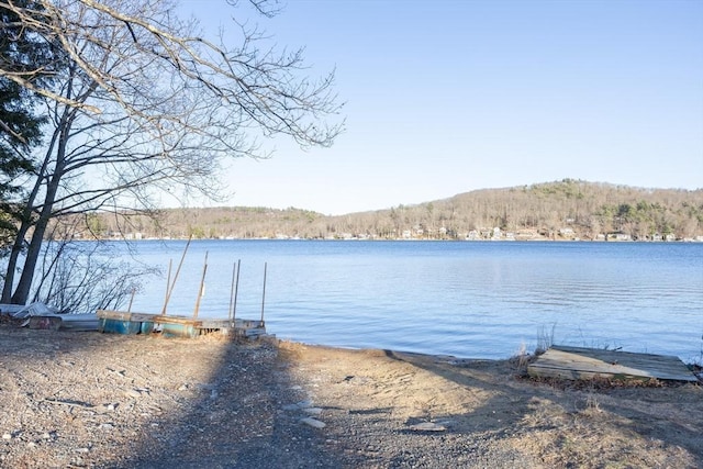 7 Chaffee Rd, Holland, MA 01521 - property view of water featuring a dock