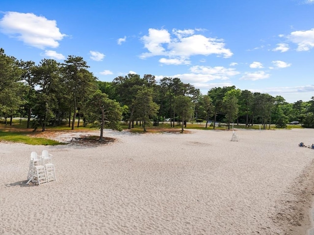 42 Deer Hollow Rd, Sandwich, MA 02644 - view of community featuring view of scattered trees