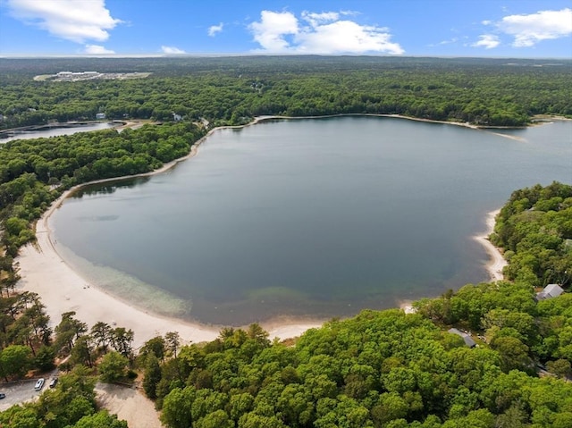 42 Deer Hollow Rd, Sandwich, MA 02644 - drone / aerial view of a forest and a nearby body of water