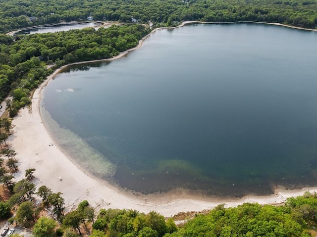 42 Deer Hollow Rd, Sandwich, MA 02644 - drone / aerial view of a forest and a nearby body of water