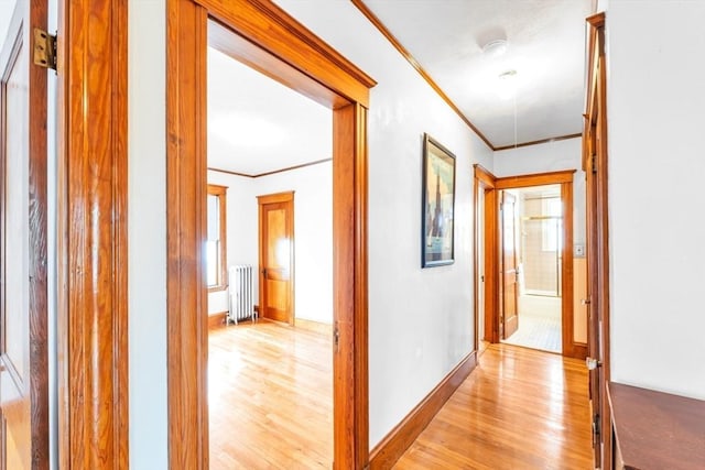 17 Matchett St, Boston, MA 02135 - hallway with crown molding, light wood finished floors, radiator, and baseboards