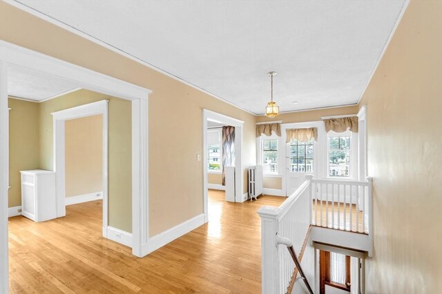 17 Matchett St, Boston, MA 02135 - hall featuring an upstairs landing, ornamental molding, light wood-style floors, and baseboards
