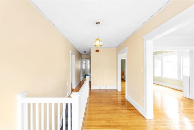 17 Matchett St, Boston, MA 02135 - hallway featuring light wood-style floors, baseboards, crown molding, and an upstairs landing