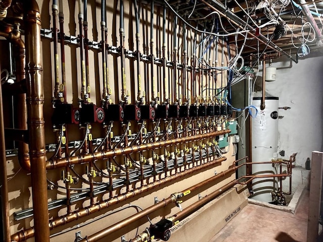 utility room with gas water heater