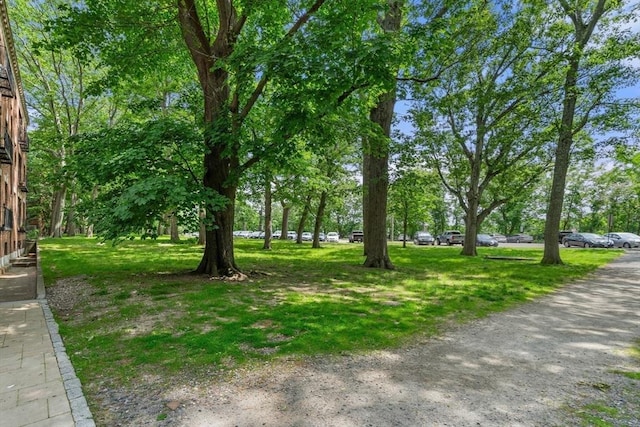 1992 Commonwealth Ave Unit B, Boston, MA 02135 - view of yard