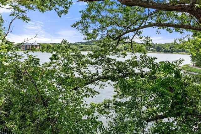1992 Commonwealth Ave Unit B, Boston, MA 02135 - water view