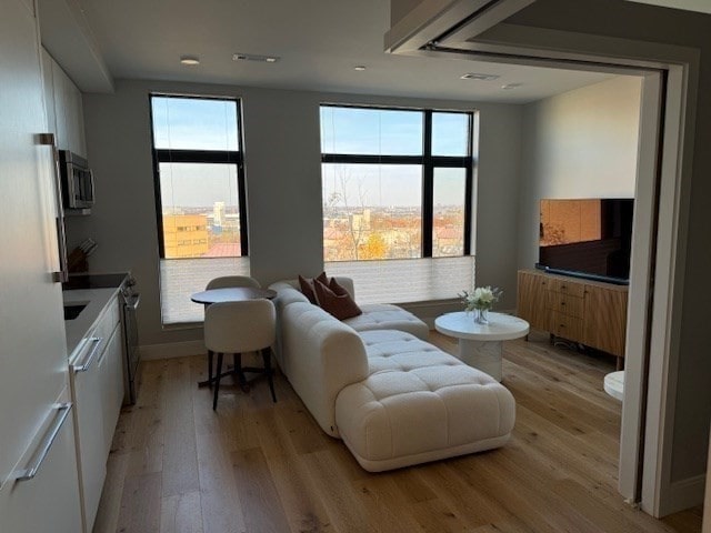 living room featuring light hardwood / wood-style flooring