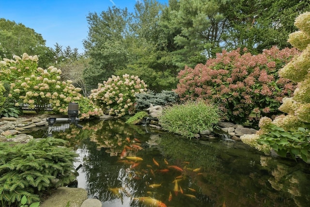 view of yard with a garden pond