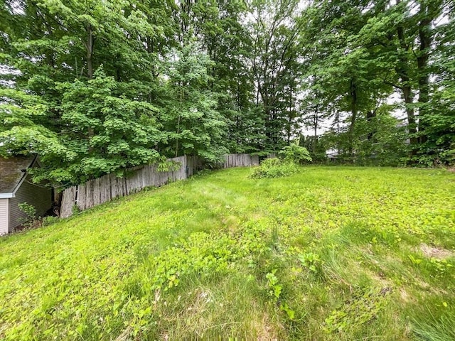 48-50 S Westfield St, Agawam, MA 01030 - view of yard