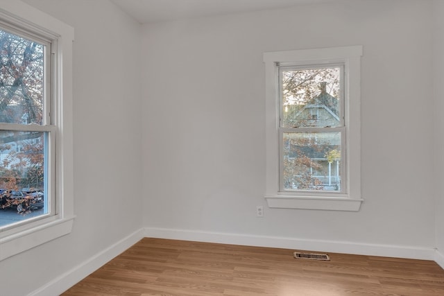 unfurnished room featuring a wealth of natural light and light hardwood / wood-style floors