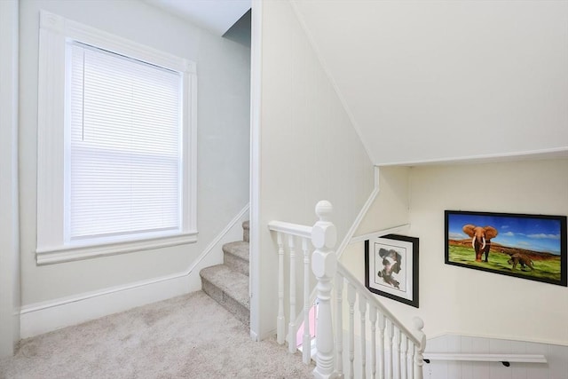 stairs with carpet