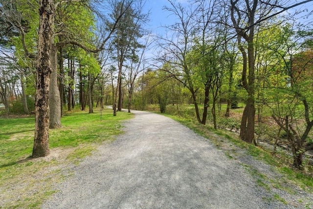 view of street with a view of trees