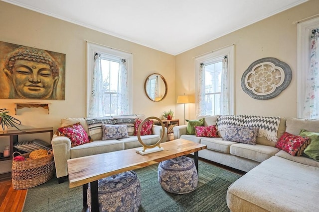 living area with a wealth of natural light and crown molding